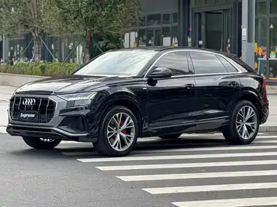 Audi Q8 2020