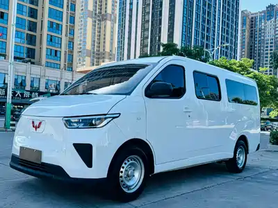 Wuling Motors Yangguang 2024