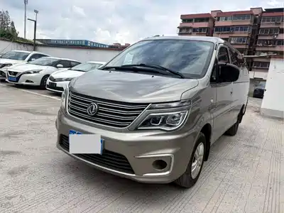 Dongfeng Fengxing Lingzhi 2020