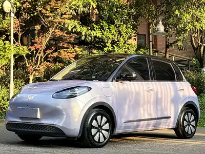 Wuling Motors Bingo 2025