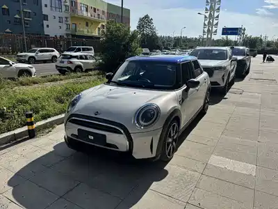 MINI MINI 2021
