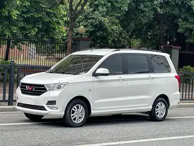 Wuling Motors Hongguang 2021