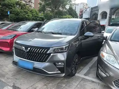 Wuling Motors Jiachen 2024