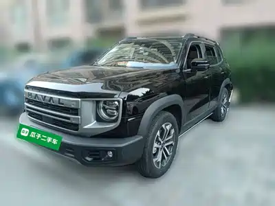 Haval Big Dog 2024