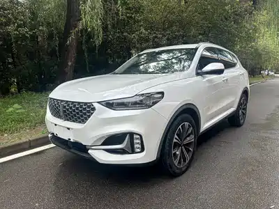 WEY VV6 2020