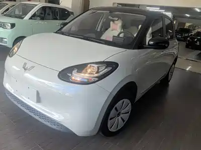 Wuling Motors Bingo 2024
