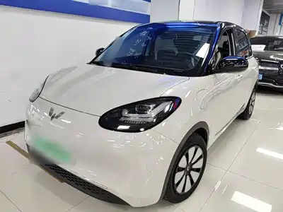 Wuling Motors Bingo 2024