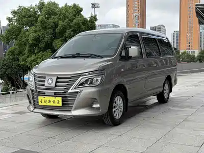 Dongfeng Fengxing Lingzhi New Energy 2023