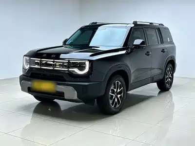 BAIC ORV BJ30 2025