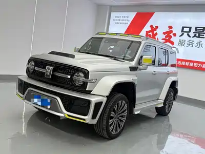 Crossboundary Auto Co-created Tank 300 2022