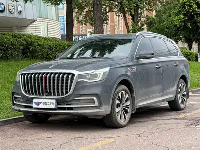Hongqi HS7 2021