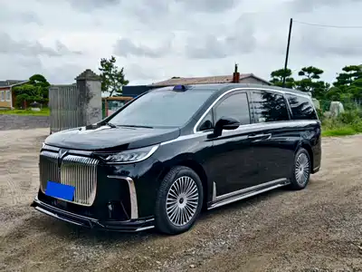 Voyah Auto Dreamer 2025