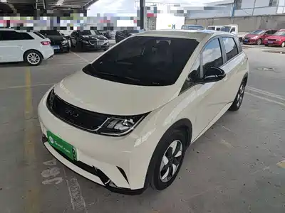 BYD Dolphin 2025