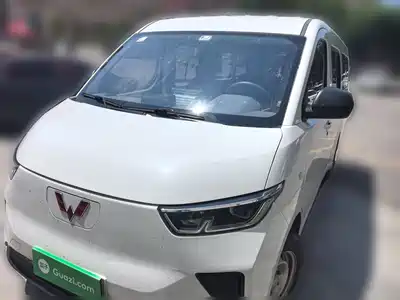 Wuling Motors Yangguang 2024