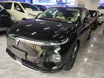 Voyah Auto Zhiyin 2025