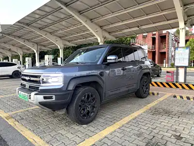 Fang Cheng Bao Leopard 5 2024
