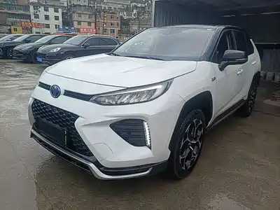 Toyota Wildlander New Energy 2021