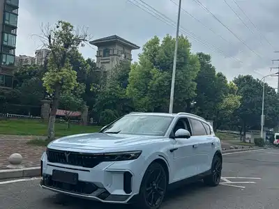 Voyah Auto FREE 2024