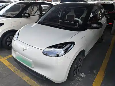 Wuling Motors Bingo 2024