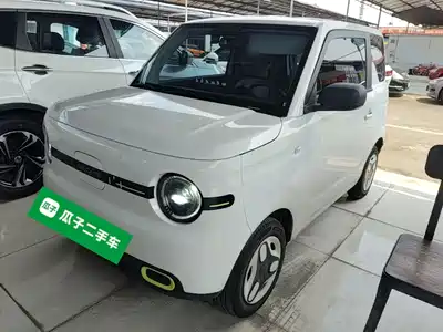 Geely Galaxy Panda 2025