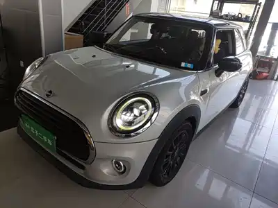 MINI MINI 2020