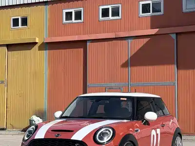 MINI MINI 2019