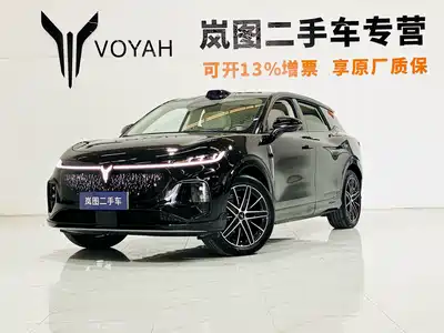 Voyah Auto Zhiyin 2025