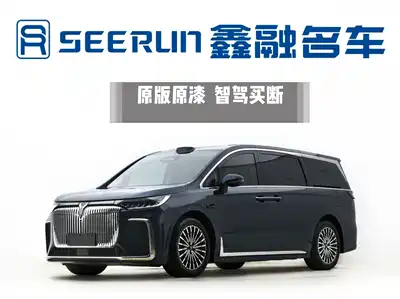 Voyah Auto Dreamer 2025