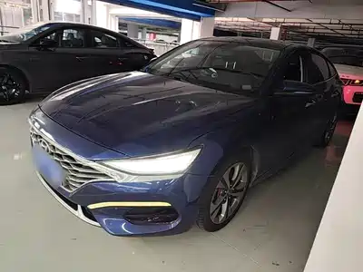 Hyundai Fista 2019