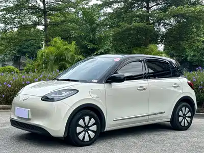 Wuling Motors Bingo 2024