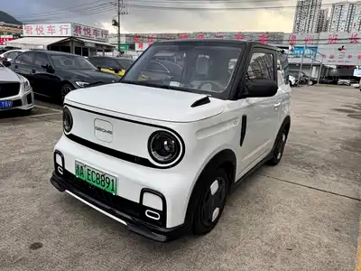 Geely Galaxy Panda 2025