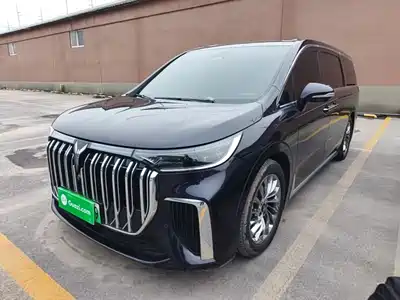 Voyah Auto Dreamer 2024