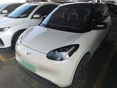 Wuling Motors Bingo 2024