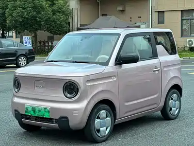 Geely Galaxy Panda 2023