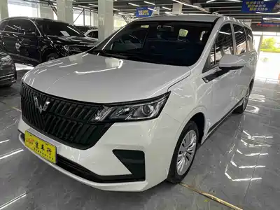 Wuling Motors Jiachen 2025