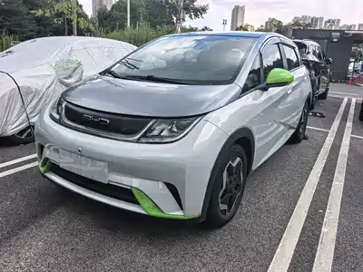 BYD Dolphin 2022
