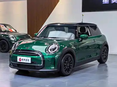 MINI MINI 2022