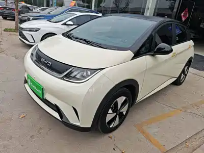 BYD Dolphin 2024