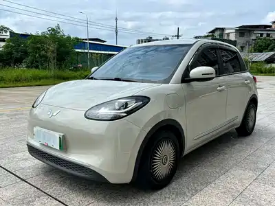 Wuling Motors Bingo 2023