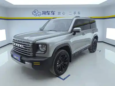 Haval Meng Long NEV 2024