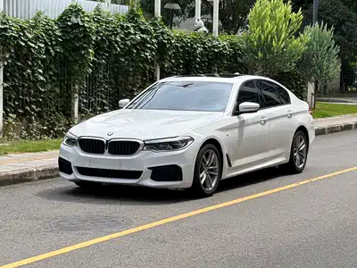 BMW 5 Series (Import) 2020