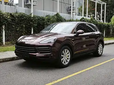 Porsche Cayenne New Energy 2019