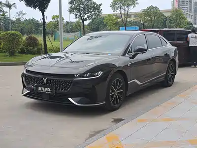 Voyah Auto Zhuiguang 2024