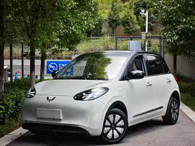 Wuling Motors Bingo 2024