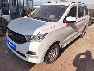 Wuling Motors Hongguang 2024