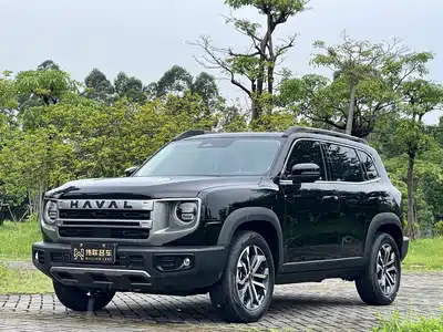 Haval Big Dog 2024