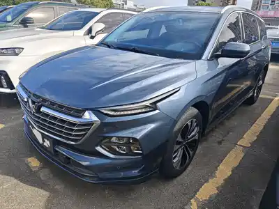 Wuling Motors Victory 2021