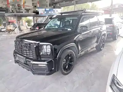 Haval Meng Long NEV 2023