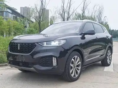 WEY VV6 2019