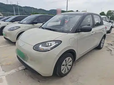 Wuling Motors Bingo 2024